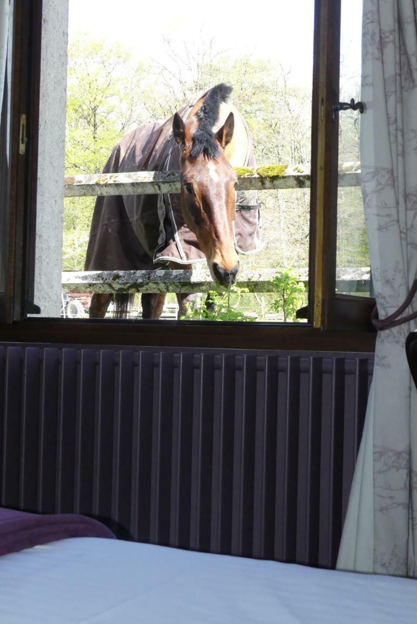 Chambres Et Table D'Hotes Les Machetieres Langeais Dış mekan fotoğraf